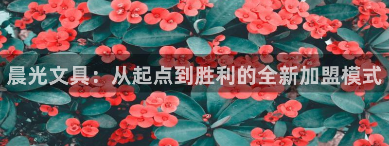 彩名堂人工计划客户端：晨光文具：从起点到