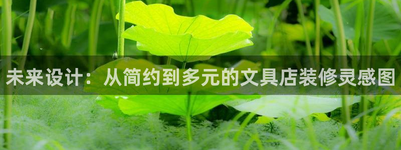 彩名堂5.0!：未来设计：从简约到多元的