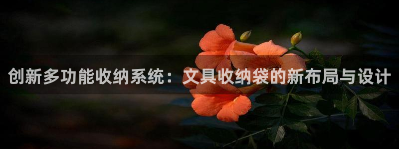 彩名堂加拿大怎么买准确率高：创新多功能收