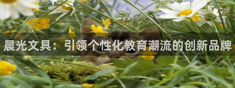 彩名堂免费计划官网5 0：晨光文具：引领
