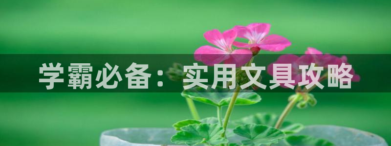 彩名堂改名稻草人了吗是真的吗：学霸必备：