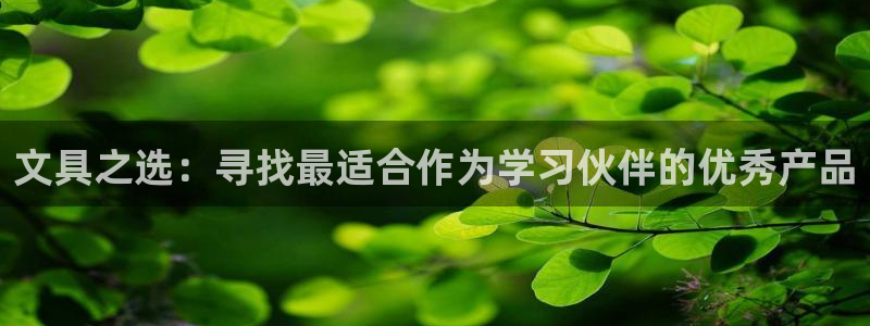 彩名堂客户端官网：文具之选：寻找最适合作