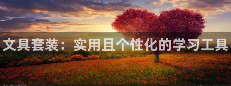 彩名堂.netnet：文具套装：实用且个
