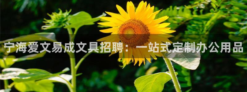 彩名堂手机客户端怎么进不去了：宁海爱文易