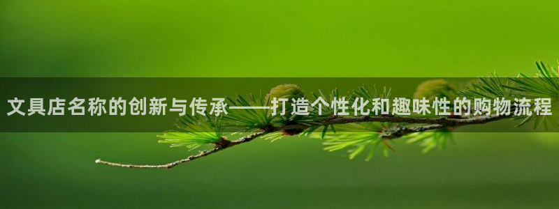 彩名堂怎么用不了了：文具店名称的创新与传